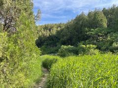 -龙洞风景区-藏龙涧