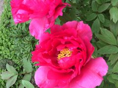 -狼山风景名胜区