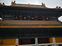 -邵顺兴锅盖面(金山宝地店)