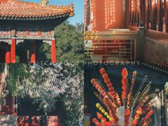 -北京国子监胡同