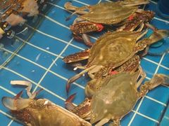 -新海渔港·胶东海鲜家常菜·家宴(奥体中心店)