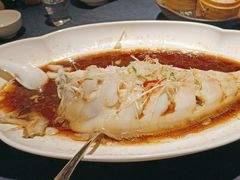 -金狮麟·新豫菜(金码大厦店)