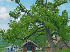 -良渚古城遗址公园
