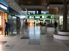 -厦门高崎国际机场-T3航站楼