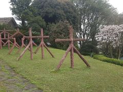 -南山植物园