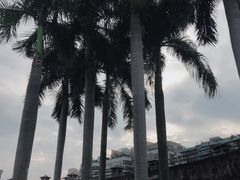 -石炮台公园