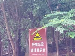 -紫金山山顶公园