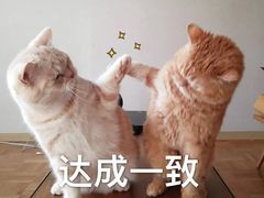-竹园竹升面(西关总店)