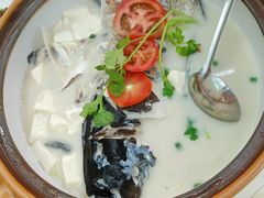 -全乐鱼馆·淳牌有机鱼直营店