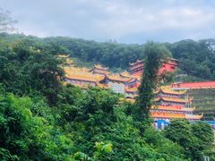 -东莞市大岭山森林公园