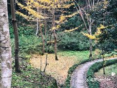-千岛湖龙川湾