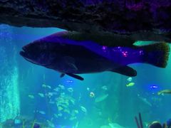 -沈阳海洋探索中心