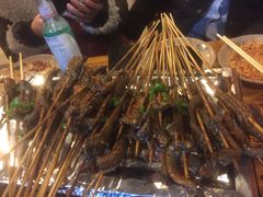 鳝鱼-晓靖轩烧烤(沙河风情店)