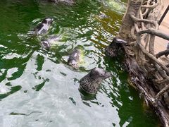 -华夏文旅海洋公园