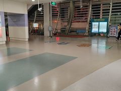 -龙阳路磁悬浮列车总站-停车场