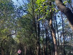 -火炉山森林公园