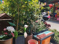 -杨厝六十六农庄农舍(杨厝路店)