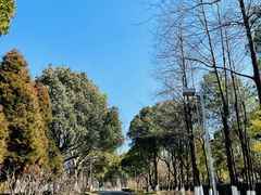-白塘生态植物园