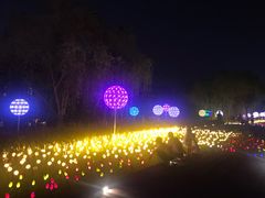 -怡海公园(桂城街道)