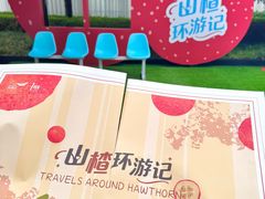 -凤凰汇购物中心