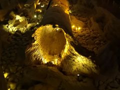 -乐山乌木文化博览苑