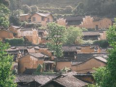 -杨家堂村