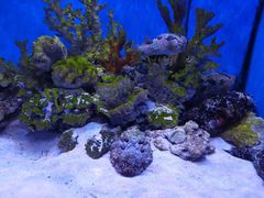 -多彩贵州城极地海洋世界