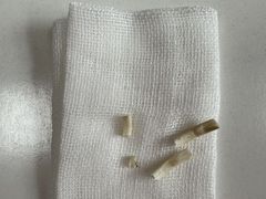 -北京观赏动物医院·24小时大型综合·猫专科·异宠专科