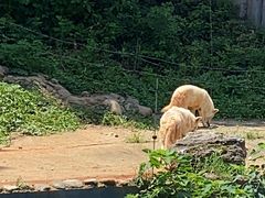 -太湖龙之梦