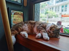 -咖法森林·咖啡  酒吧(天河店)