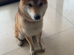 -二钢串叔麻辣烫(华龙大厦店)