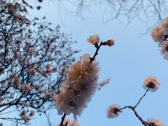 -廊坊市自然公园