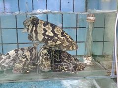-海岛渔村大酒店(云霄路店)