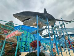 -海合安武汉极地海洋公园