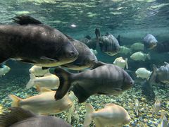 -成都浩海立方海洋公园