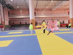 -武术世家少儿培训中心(首都体育学院店)