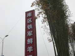 -铁军鲜羊肉汤