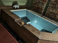 -春晖园度假酒店温泉