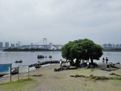 -台场海滨公园船码头