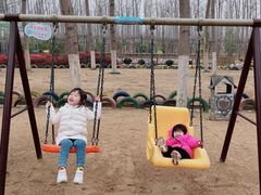 -合肥滨湖国家森林公园