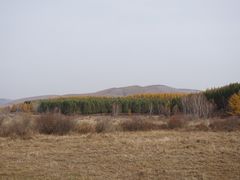 -塞罕坝国家级自然保护区