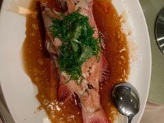 -陶陶居海鲜酒家(新马路店)