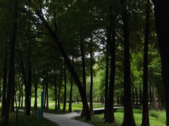 -长广溪湿地公园