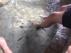 -碧水湾温泉