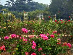 -国家植物园南园