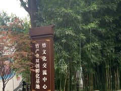-望江楼公园