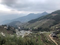 -紫鹊界梯田景区