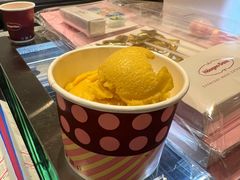 -哈根达斯(济南万象城店)