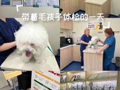 -佩兹宠物医院肿瘤专科·眼科·牙科(黄浦店)