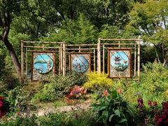 -上海共青森林公园